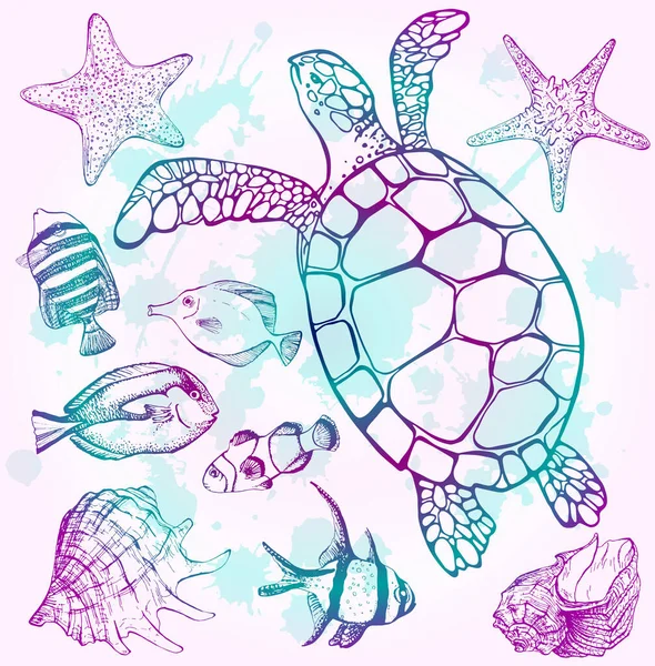 Meeresschildkröten Und Tropische Fische Marinesatz Perfekt Für Einladungen Grußkarten Druck — Stockvektor
