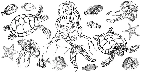Jellyfish Cartoon Coloring Page Vector Art Stock Images ページ 2 Depositphotos
