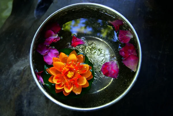 Flores coloridas en un tazón con agua Imágenes de stock libres de derechos