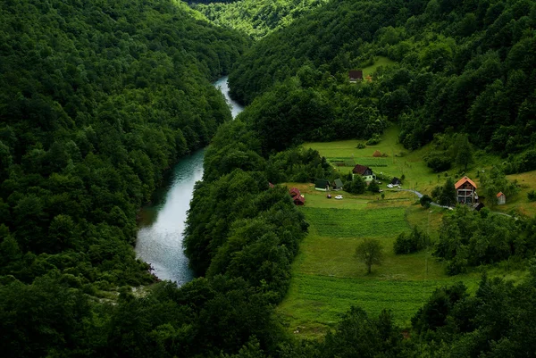 绿色景观在黑山 — 图库照片