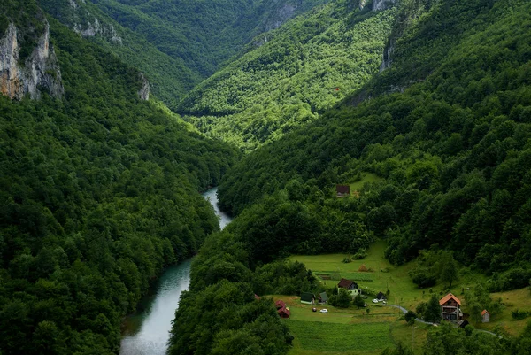绿色景观在黑山 — 图库照片
