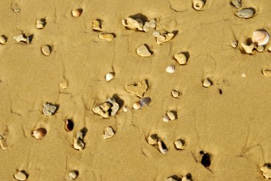 küçük çakıl kum plaj üzerinde