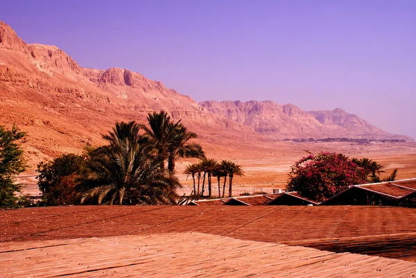 Ölü Deniz kıyı alan İsrail çölünde