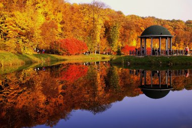 Ağaçlar ve bir göl güzel sonbahar park