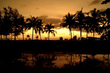 Günbatımı, gökyüzü arka plan üzerinde Tropic pullar