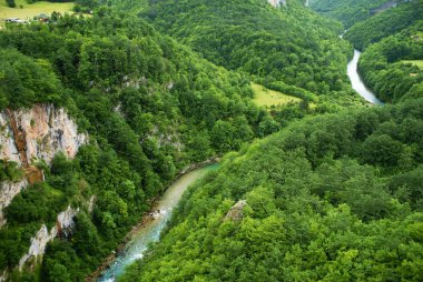 Tara nehir Karadağ, en baştan görüntülemek