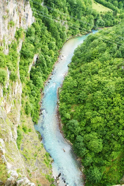 Rio Tara em Montenegro, vista do topo — Fotografia de Stock