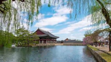 Zaman aşımı 4K. Kore baharı ve Güney Kore 'deki Gyeongbokgung Sarayı' nda Gyeonghoeru Pavyonu..