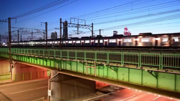 Treno Passeggeri Passa Attraverso Ponte Sopraelevato Corea Del Sud Notte — Video Stock