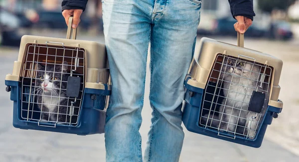 Un hombre está transportando a sus gatos en una jaula plástica especial o en un transportador de mascotas a una clínica veterinaria — Foto de Stock