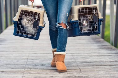 Kedilerini özel plastik bir kafese ya da veteriner kliniğine taşıyan bir kadın.