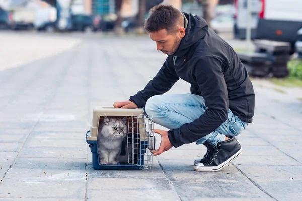 Homem andando lá fora com belo gato doméstico cinza. Gato adora andar lá fora — Fotografia de Stock