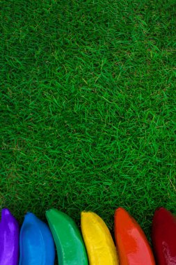 LGBT yeşil çimen arka planı. Çimlerin üzerinde renkli muzlar. Lezbiyen Gey Biseksüel Transseksüel. LGBT gökkuşağı aşk kavramı