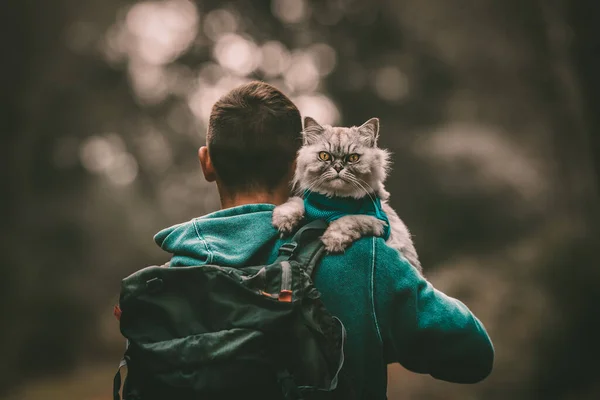 Ludzie i zwierzęta. Wędrówka z kotem. Kot siedzi na ramieniu. Mężczyzna spędzający czas ze swoim uroczym zwierzakiem. Wyprowadzam kota.. — Zdjęcie stockowe