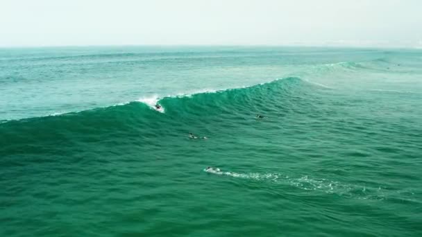 Запись с воздуха, где неизвестный серфер ловит океанскую волну на короткой доске Стоковое Видео