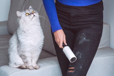 Elbiseleri silindirle temizleyen kadın, iplik silindiri ya da kedi kılından yapışkan silindir. Kıyafetlerde kedi tüyü. Evcil hayvanlardan saç temizleme