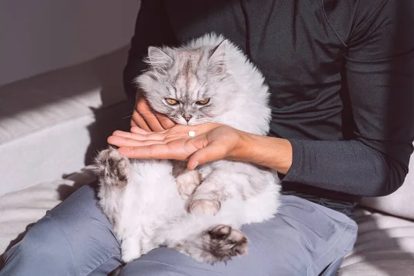 En man som ger piller till en sjuk ledsen katt. Läkemedel och syntetiska vitaminer för djur — Stockfoto