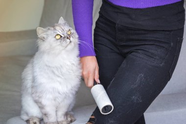Siyah kotları temizleyen kadın giysi silindiri, tiftik silindiri ya da saç silindiri. Kıyafetlerde kedi tüyü. Evcil hayvanlardan saç temizleme