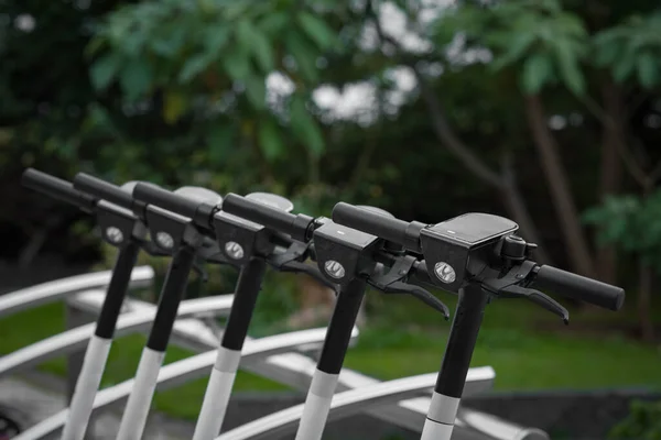 Alineados scooters eléctricos públicos en alquiler en el parque. — Foto de Stock