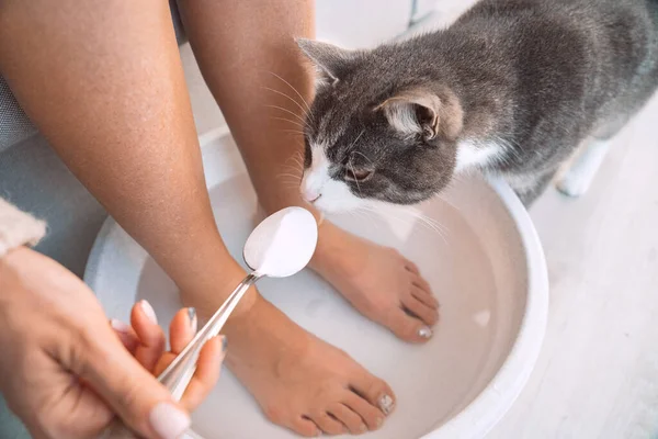 Curious cat sniffing a spoon with baking soda while woman making feet bath with hot water. — Stock Photo, Image