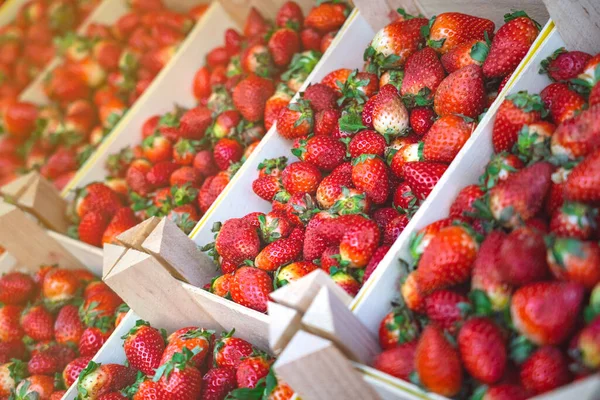 Freshly harvested strawberries in wooden boxes on the counter in farmer market at sunset — Stock Photo, Image