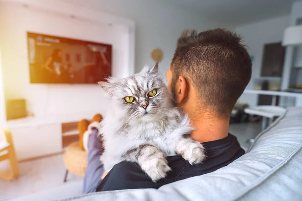 ソファに座ってテレビを見ている若い男は、リビングルームで彼の肩の上に素敵な猫と一緒に休んでいます。自宅でペットと国内生活. — ストック写真