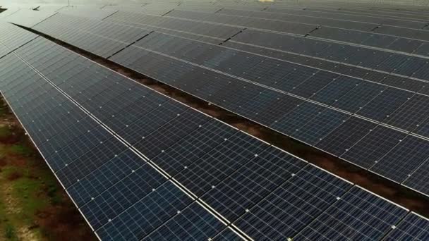 Överst eller antenn syn på ekologi solkraftverk paneler gård. Rader av moderna solcellspaneler. Drönaren flyger över solfarmen. Förnybar grön energi — Stockvideo