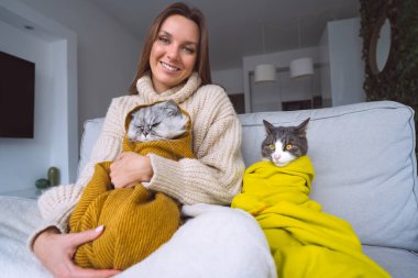 Evdeki kanepede, battaniyenin altında üşüyen ve ısınan komik kedileri olan rahat kazaklı bir kadın. Soğuk ev. İnsanlar ve evcil hayvanlar kavramı