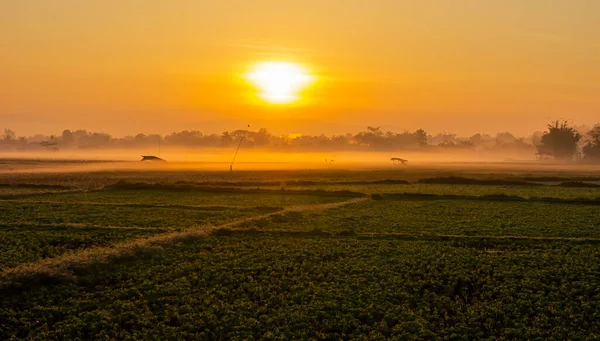 Dramatic colorful sunrise over fields with fog.
