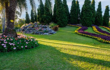 Güneş ışığı, ağaçlar ve yeşil çayır olan renkli yeşil bir park. Orta konseptin huzuru.