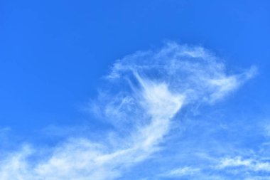 mavi gökyüzü arkaplanı ve doğa.