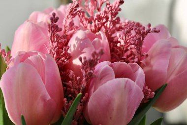 Baharın başında güzel pembe lalelerden oluşan bir buket kartpostal ya da güzel çiçekli bir resim olarak.