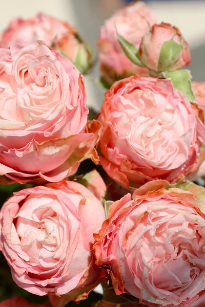 Красивый Букет Цветов Розовые Розы Белом Деревянном Фоне — стоковое фото