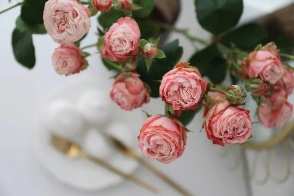 Красивый Букет Цветов Розовые Розы Современной Вазе — стоковое фото