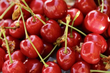 Bir yaz günü, bir tabakta masada duran sulu, olgun kırmızı kirazlar... 