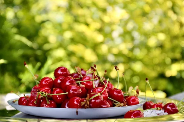 Juicy Ripe Red Cherries Table Plate Summer Day Background Green — Stock Photo, Image