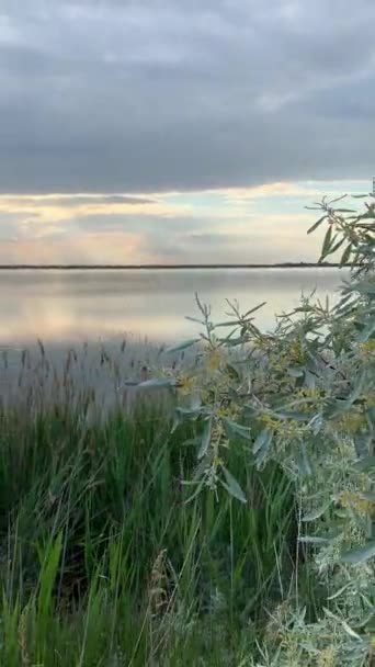 Otrolig Video Med Vacker Solnedgång Och Moln Stranden Somrarna Dag — Stockvideo