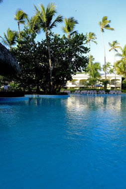 Tropikal bölgede mavi havuz ve palmiye ağaçları