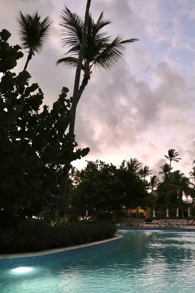 Hojas Ramas Palmeras Sobre Fondo Del Amanecer Cielo Azul — Foto de Stock