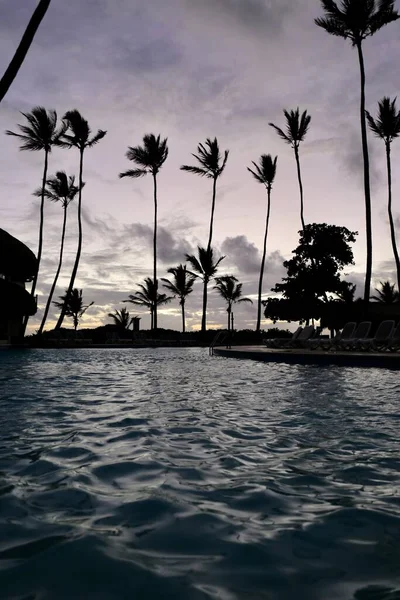 Piscina Palmeras Sobre Fondo Del Amanecer Cielo Azul — Foto de Stock