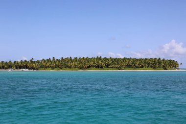 Mavi suyu olan Karayip plajı