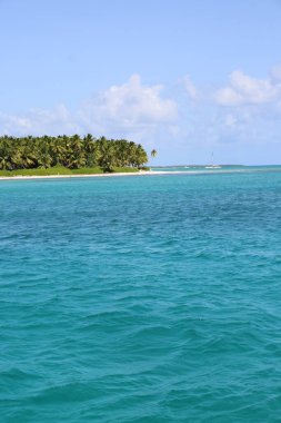 Mavi suyu olan Karayip plajı