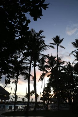  Gün doğumunda havuzda palmiye ağaçları