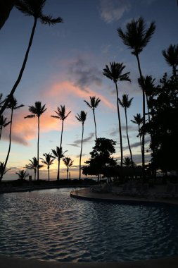  Gün doğumunda havuzda palmiye ağaçları