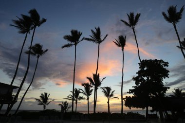  Gün doğumunda havuzda palmiye ağaçları