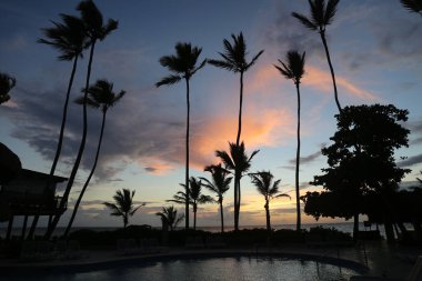  Gün doğumunda havuzda palmiye ağaçları