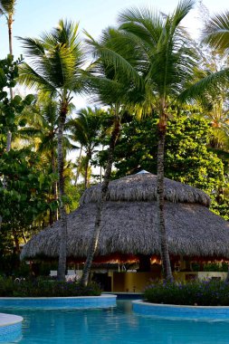 Gün doğumunda havuzda palmiye ağaçları