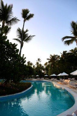 Gün doğumunda havuzda palmiye ağaçları