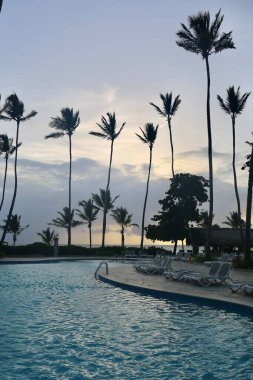 Gün doğumunda havuzda palmiye ağaçları