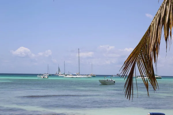 Spiaggia Con Palme Cielo — Foto Stock